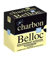 Charbon De Belloc 125 Mg Caps Molle B/60 à OLIVET